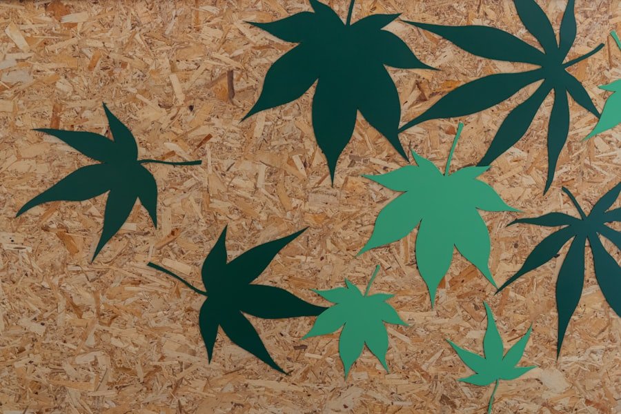 cannabis doctors Sydney