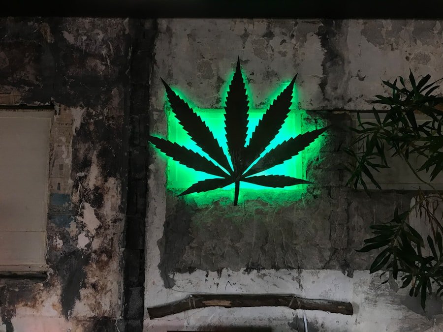 cannabis doctors