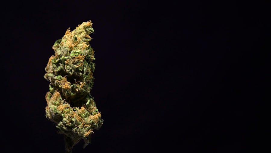 cannabis delivery Brisbane