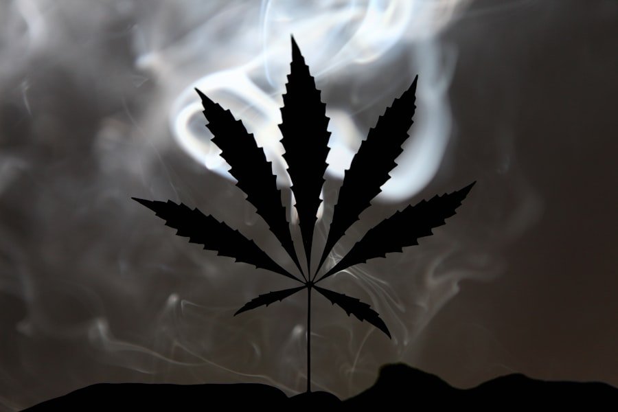 cannabis consultation
