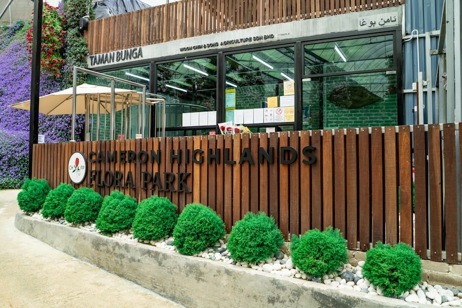 naturopathic clinics Sydney