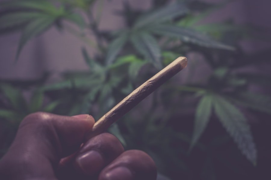 cannabis telehealth