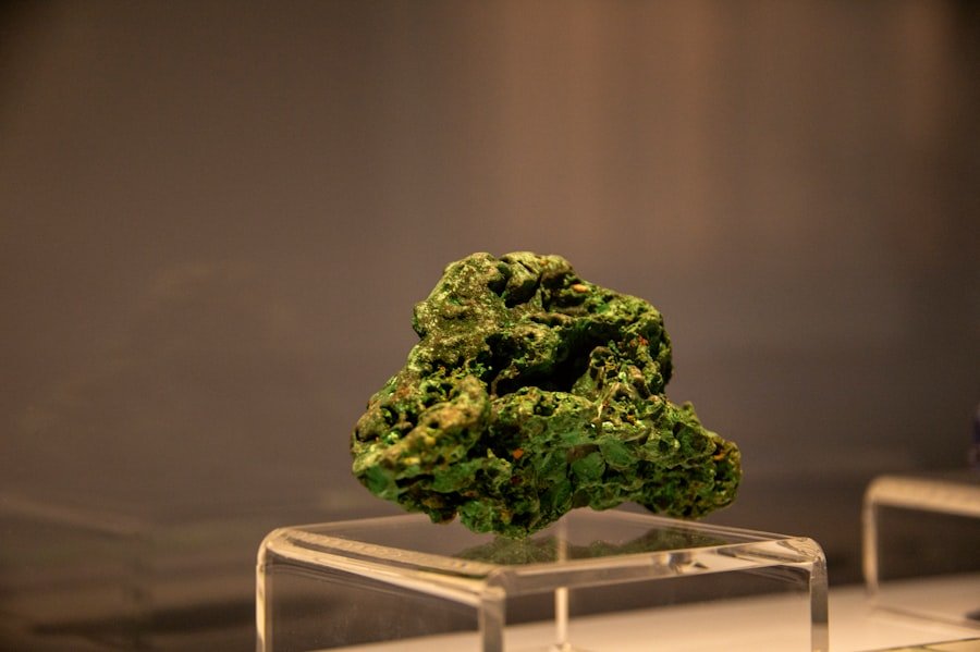 cannabis startups Sydney