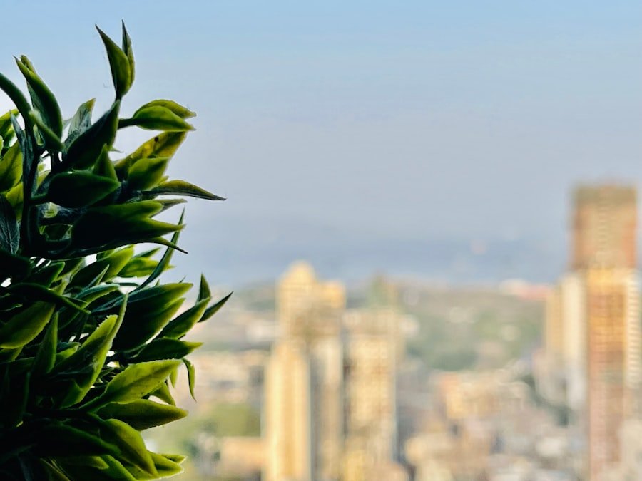 cannabis telehealth doctors Melbourne