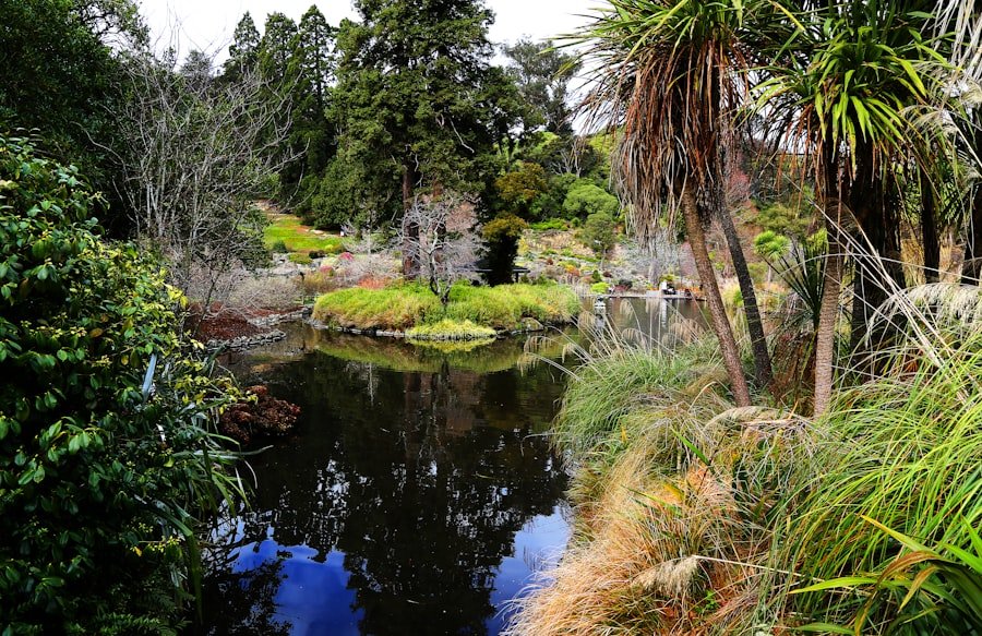 natural therapy Melbourne