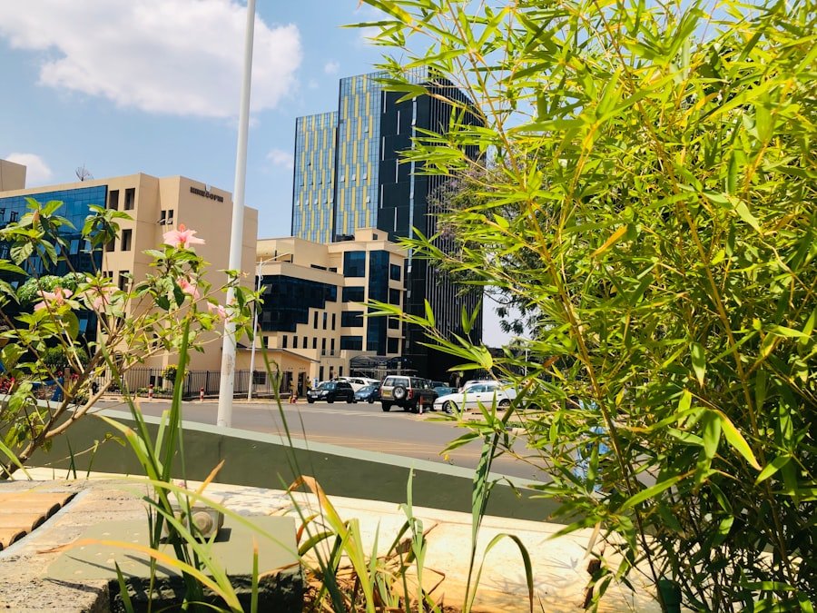 Photo medicinal cannabis clinics Perth