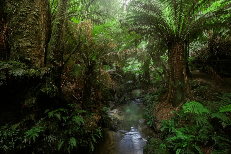 Photo naturopathy Sydney