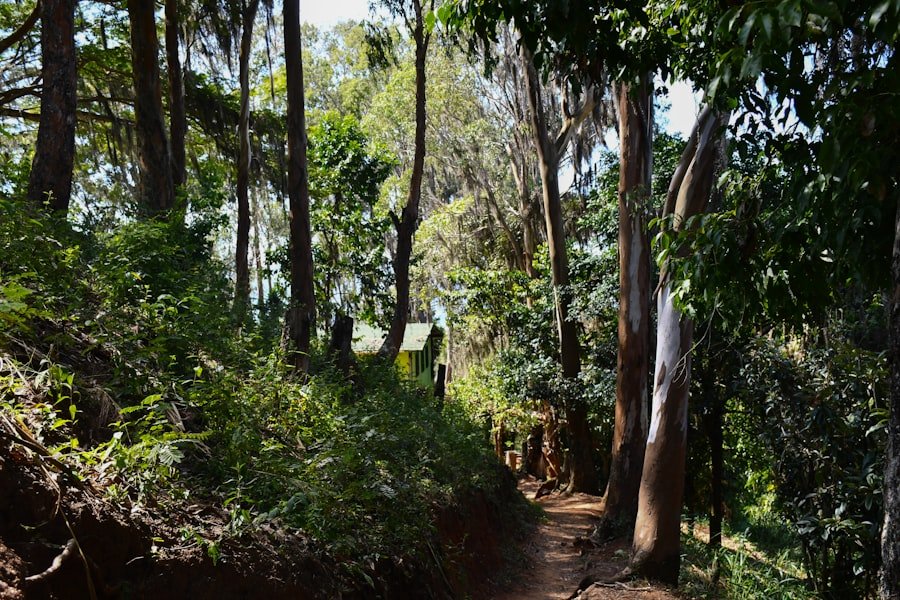 Photo naturopathic clinics Sydney