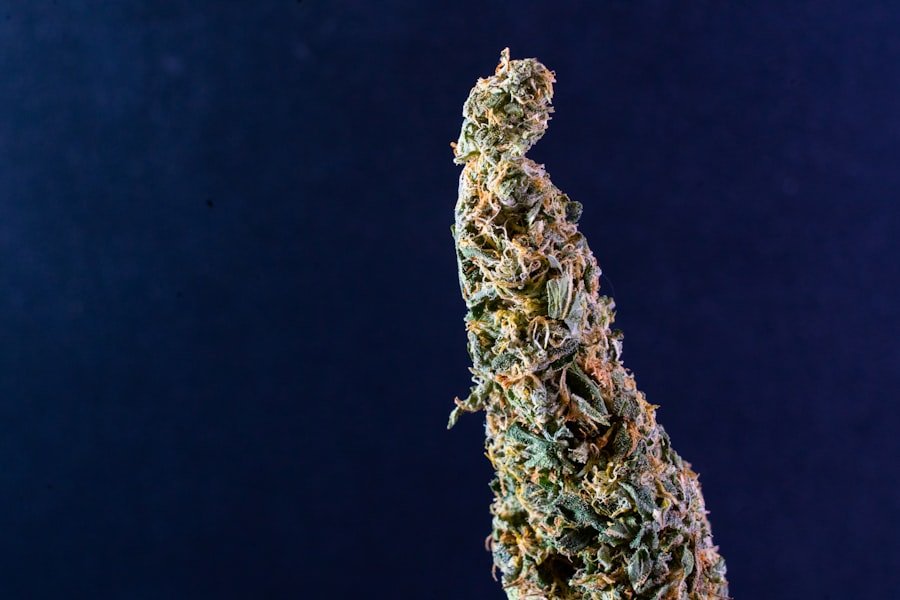 Photo cannabis vaporizer Sydney