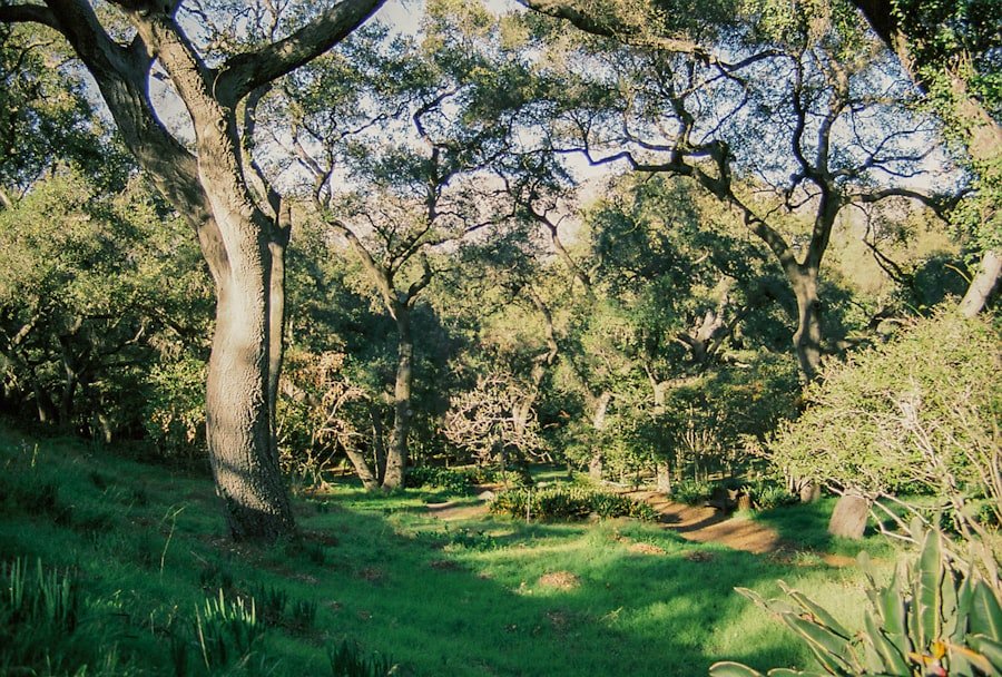 Photo natural therapy Melbourne