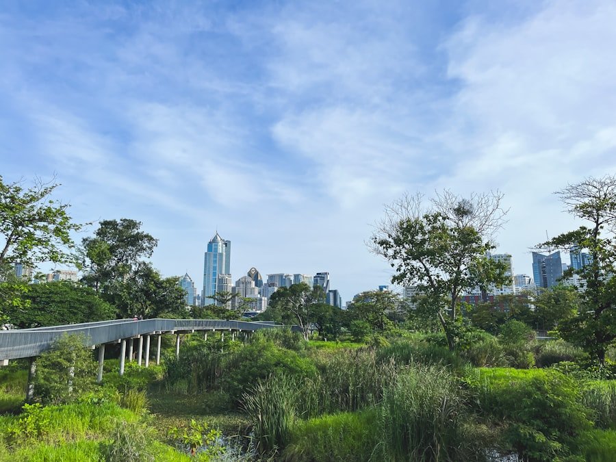 Photo natural therapy Sydney reviews