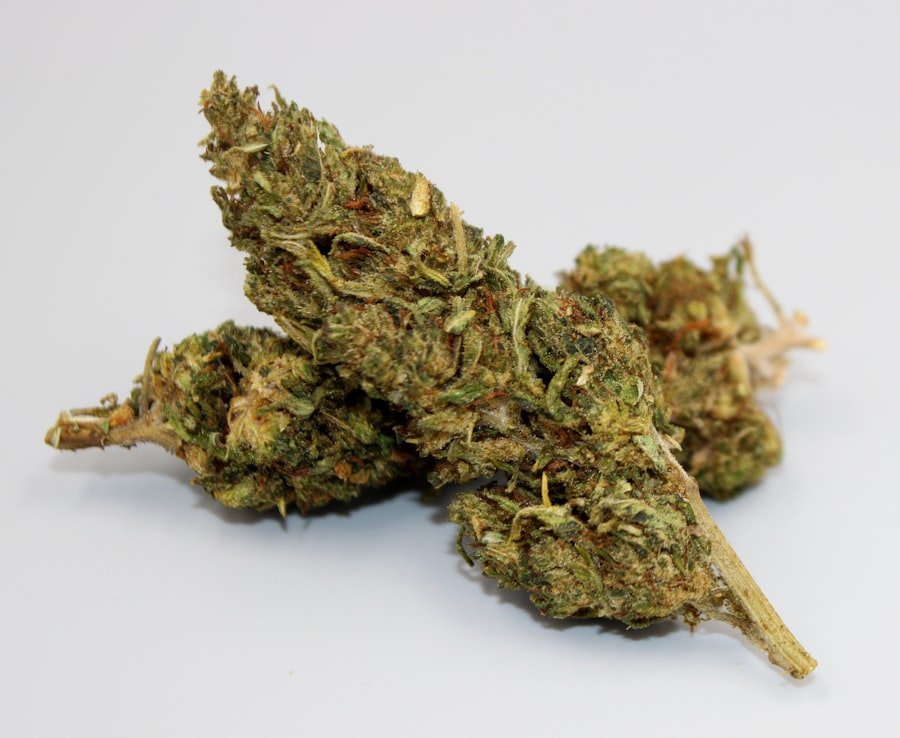 Photo medicinal cannabis clinic