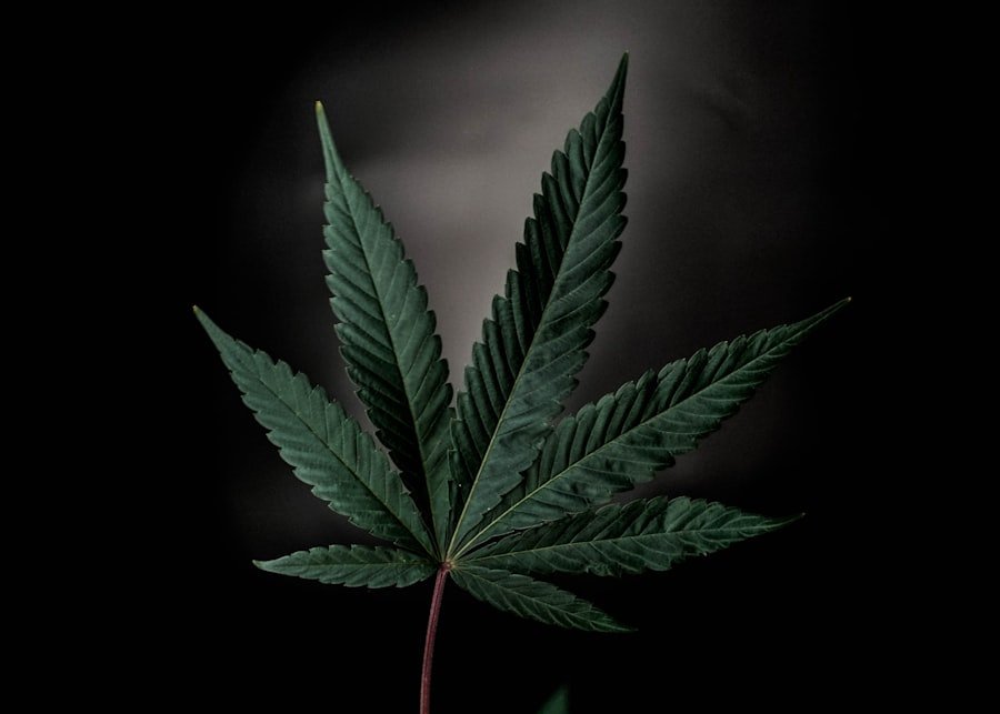 Photo cannabis doctors