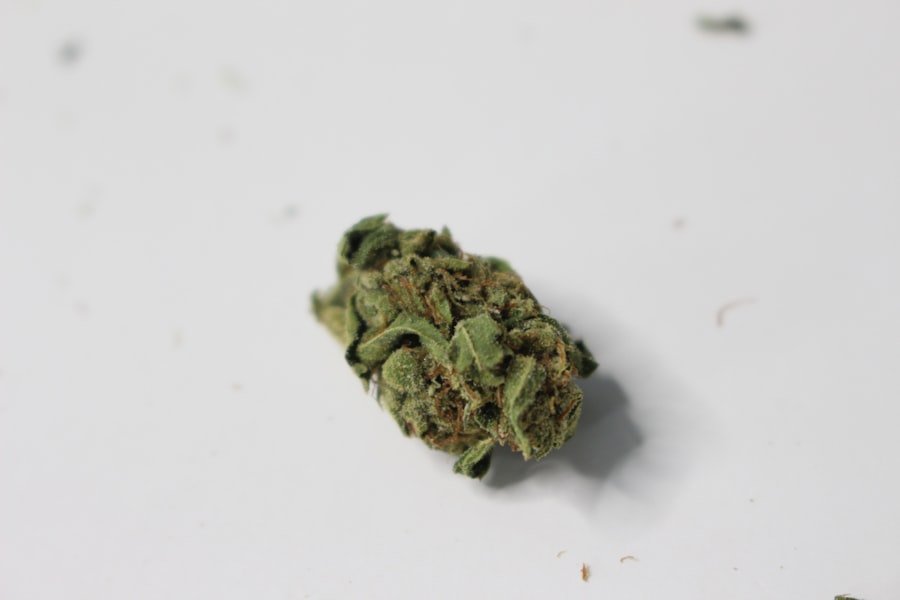Photo cannabis prescription Queensland