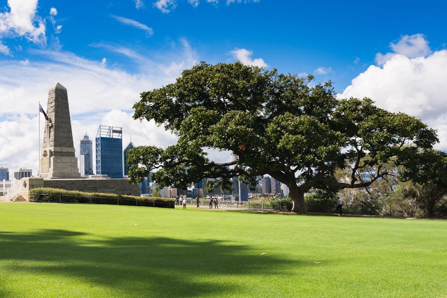 Photo holistic health clinics Brisbane