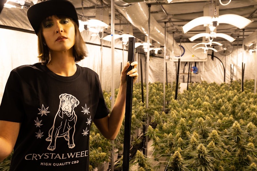 Photo cannabis advocacy Sydney