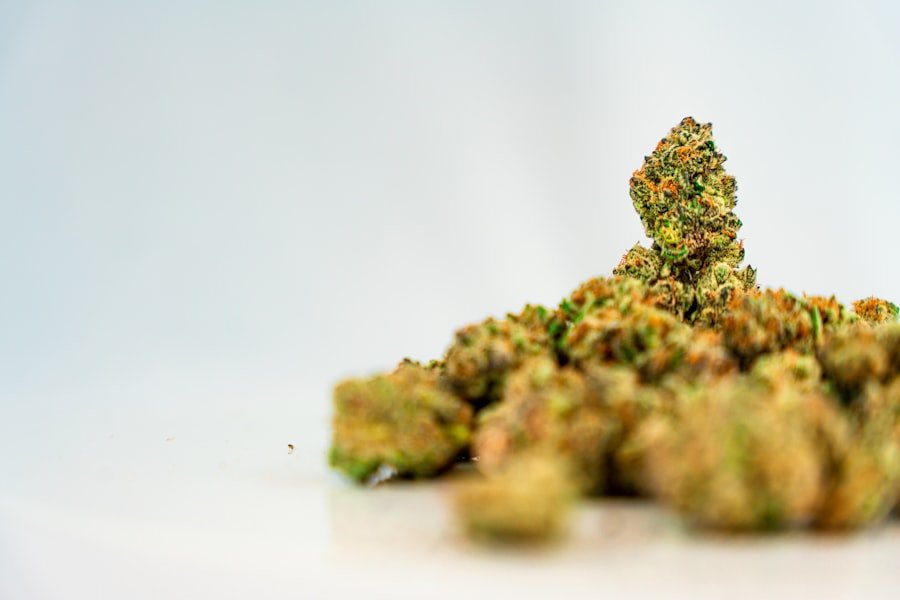Photo cannabis telehealth doctors Perth