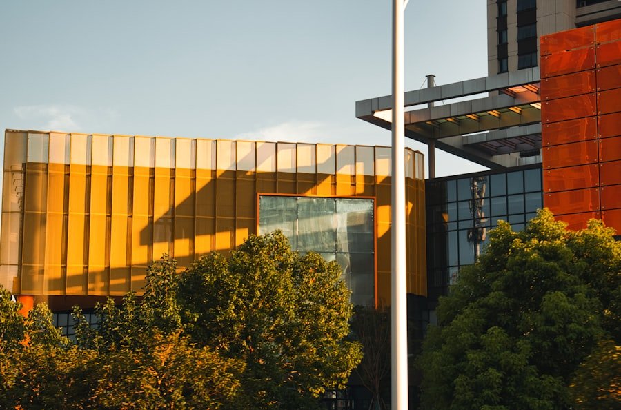 Photo CBD clinical studies Australia