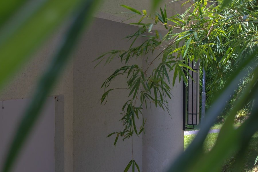 Photo cannabis anxiety disorders Perth