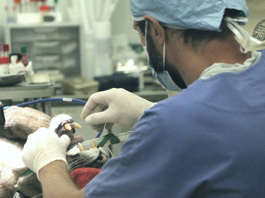 Photo oncology pain service