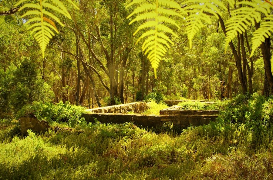 natural healthcare Australia